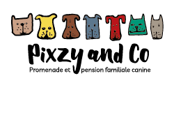 Pixzy and Co