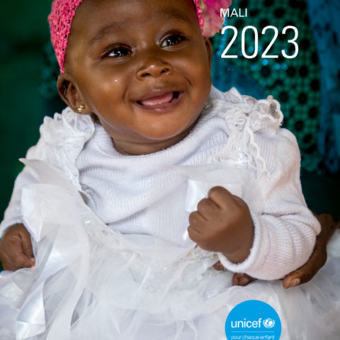 Rapport Annuel 2023 – Unicef Mali
